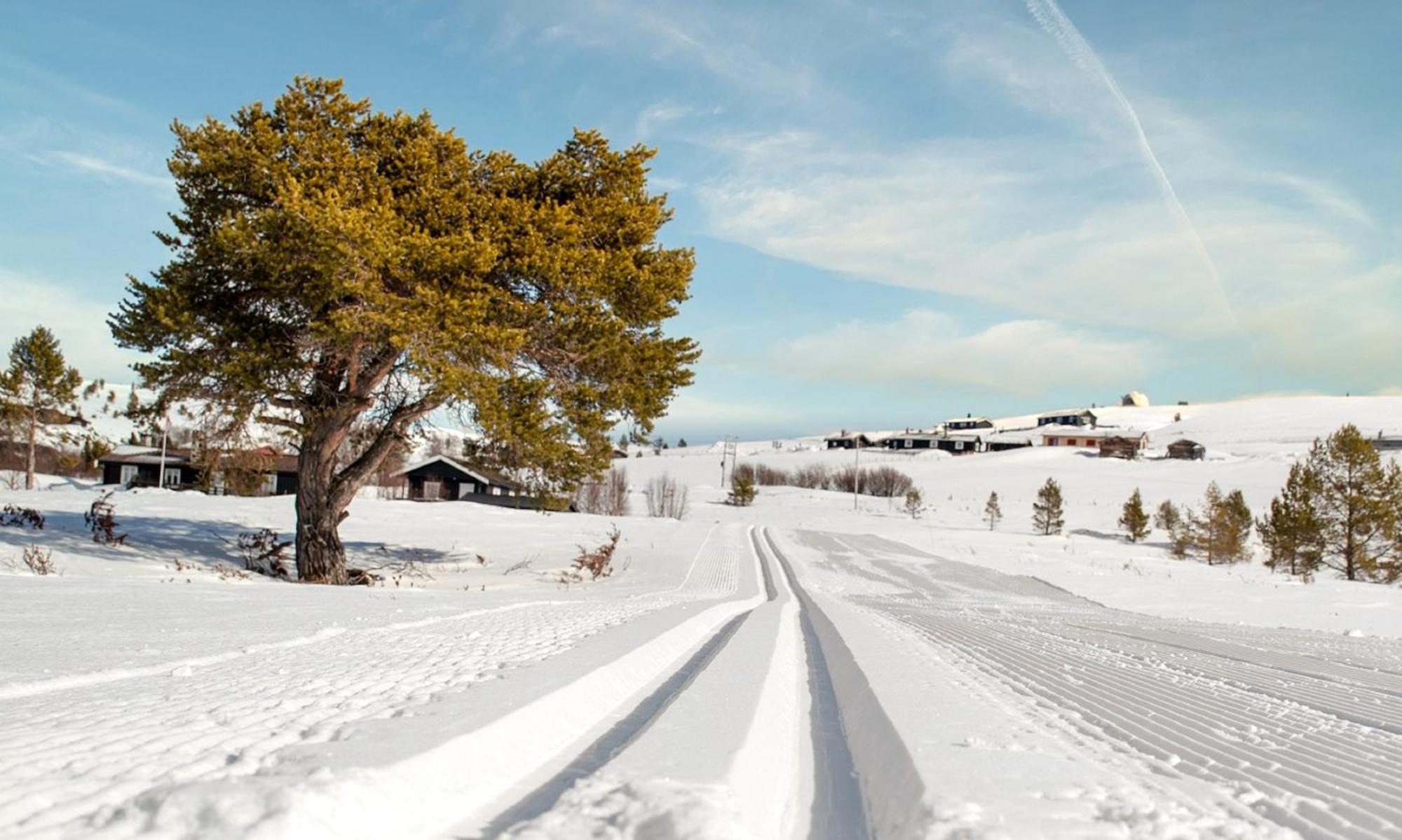 Rondane Haukliseter Fjellhotell Hovringen Ngoại thất bức ảnh